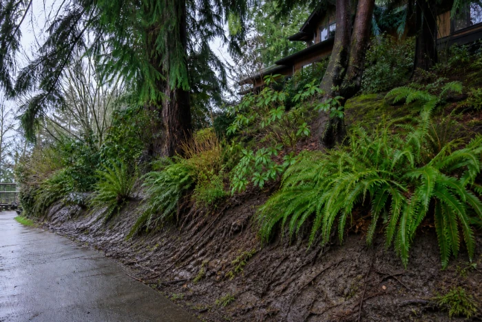 Retaining & Garden Walls — before