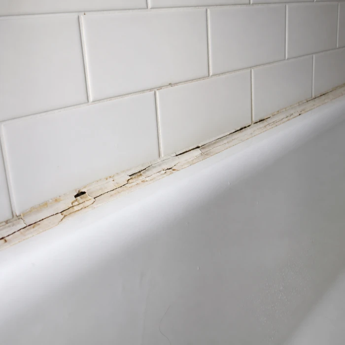 Fresh Seals for Bathrooms and Kitchens — before